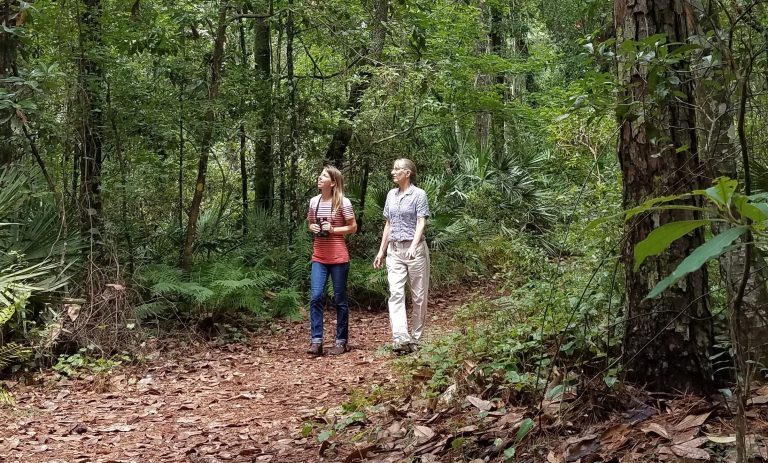 0385-e1657122127899-768x463