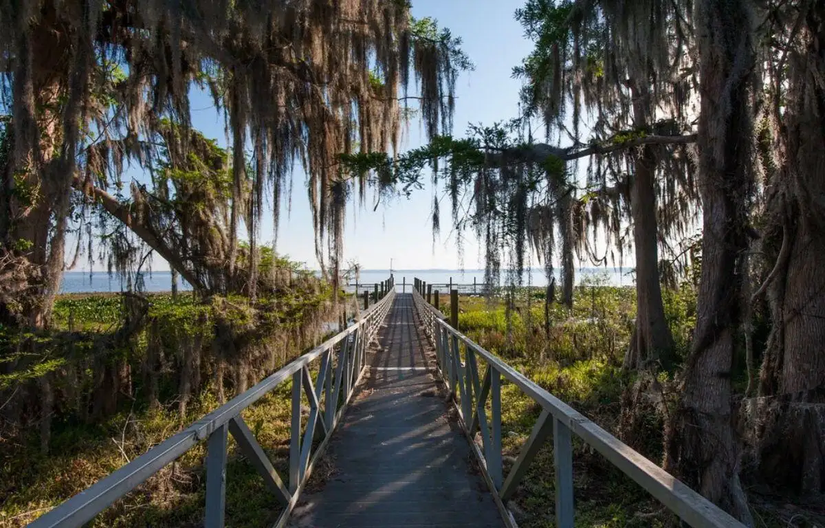 Untitled-design-25-1200x768